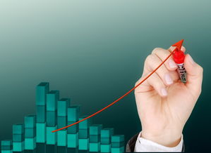 华体会全站-中国篮球后卫技术细节提升策略研究，篮球后卫基本功