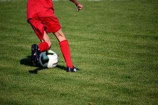 华体会在线-中国篮球职业联赛俱乐部青训体系建设及实践探索，职业篮球青年队