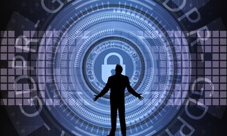 华体会官网-中国篮球联赛赛事安全管理优化与执行研究，篮球赛事安全风险