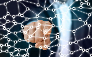 华体会官网-中国足球青训梯队人员年龄层结构，足球青训年龄段